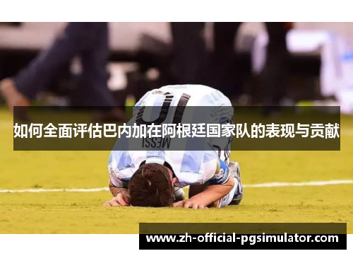 如何全面评估巴内加在阿根廷国家队的表现与贡献