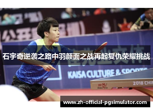 石宇奇逆袭之路中羽颜面之战再起复仇荣耀挑战