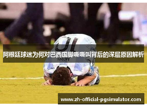 阿根廷球迷为何对巴西国脚嘶嘶叫背后的深层原因解析
