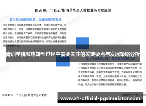 青训学院教练转型过程中需要关注的关键要点与发展策略分析