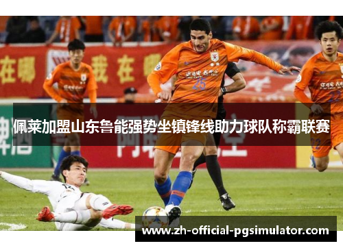 佩莱加盟山东鲁能强势坐镇锋线助力球队称霸联赛