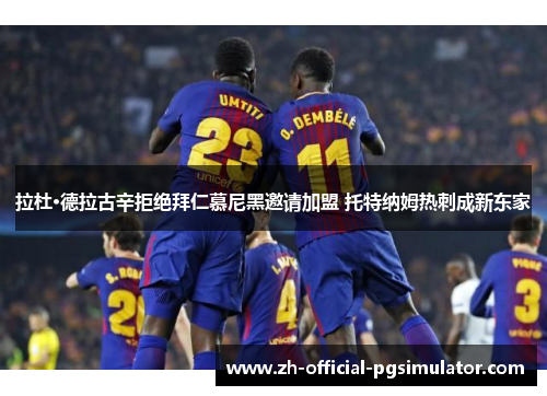 拉杜·德拉古辛拒绝拜仁慕尼黑邀请加盟 托特纳姆热刺成新东家 拉杜·德拉古辛拒绝拜仁慕尼黑邀请加盟 托特纳姆热刺成新东家