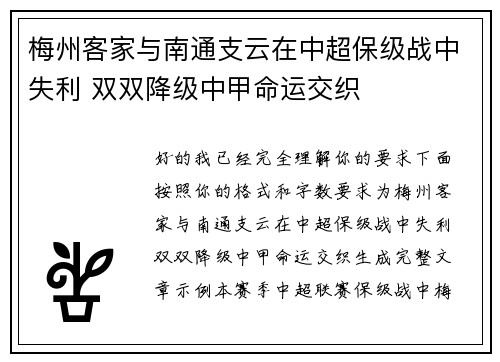 梅州客家与南通支云在中超保级战中失利 双双降级中甲命运交织